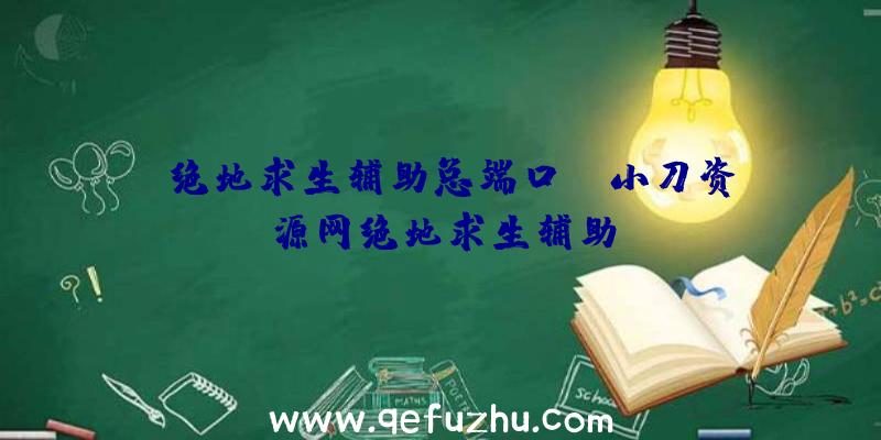 「绝地求生辅助总端口」|小刀资源网绝地求生辅助